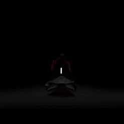 Nike Youth Pegasus 40 Running Shoe- Coral Chalk/White/Citron Pulse - Regular (D) -Shoe Sale Shop AURORA DX2498 600 PHSBH200 2000