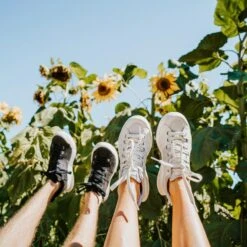 Women's X-SCAPE NBK Low Sneaker - Blanc/Light Grey - Regular (B) -Shoe Sale Shop womens x scape nbk low blanc light grey ls 3 800x 70e971bc eee0 4189 bdde 434a0688a562